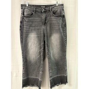 Judy blue charcoal gray‎ high waist released hem jeans Sz 18 Woman's